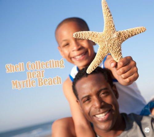 Shell Collecting Around Myrtle Beach image thumbnail