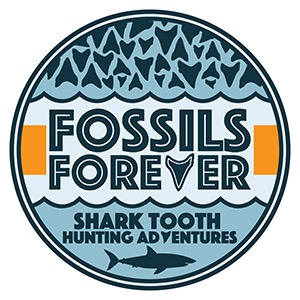 Fossils Forever