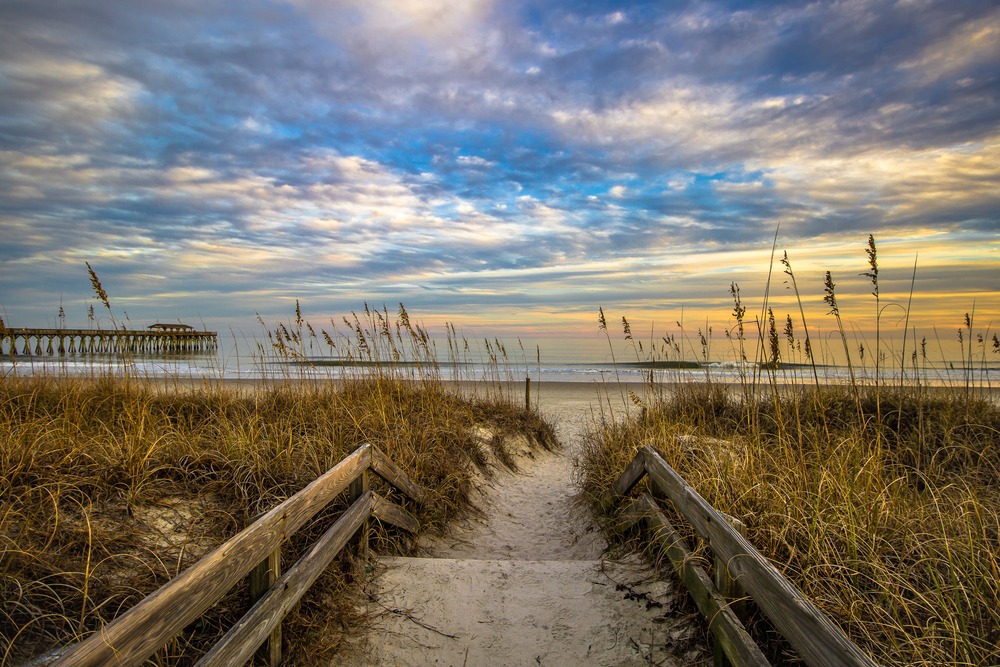 Myrtle Beach State Park: A Visitor’s Guide image thumbnail