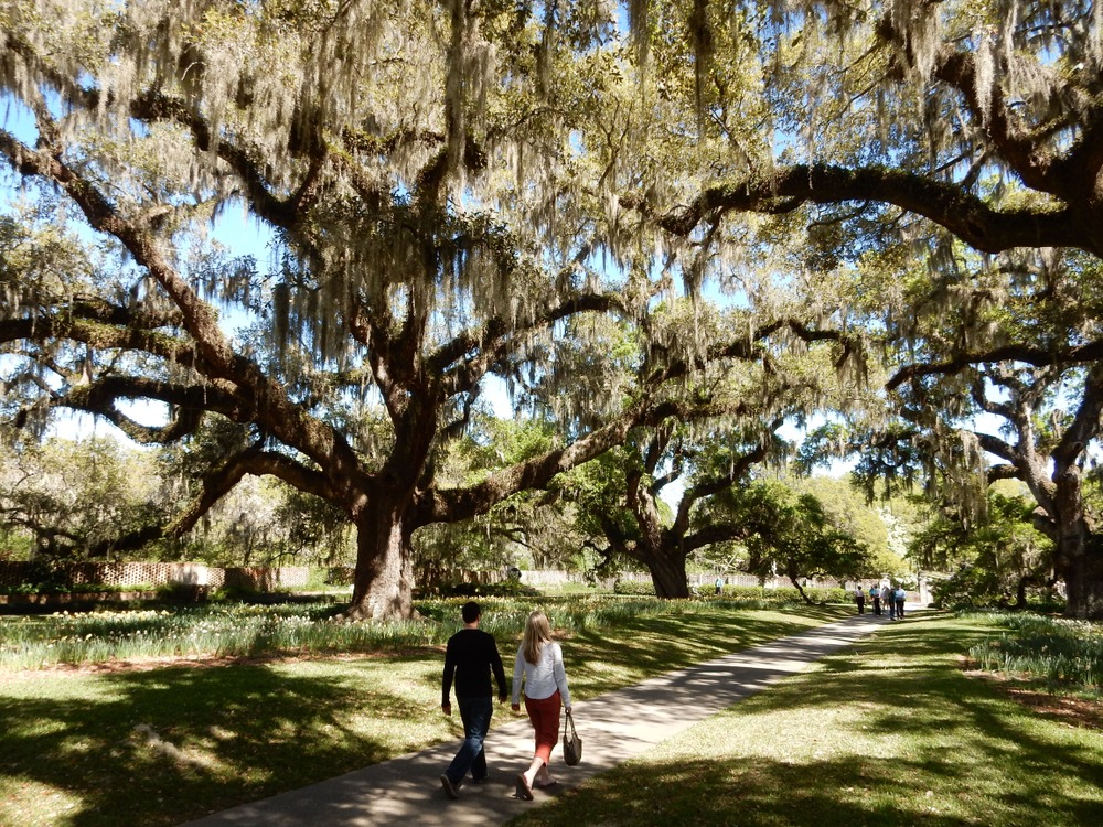 A Visitor’s Guide to Brookgreen Gardens image thumbnail